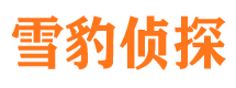 蔡甸侦探